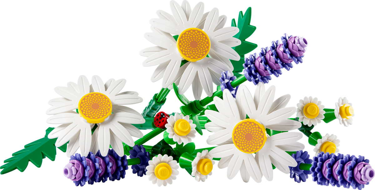 Daisies