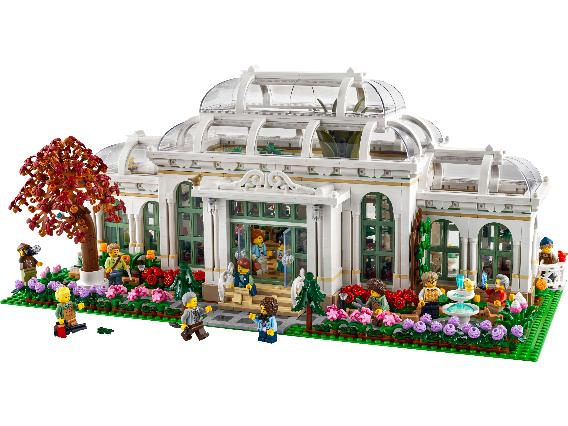Le jardin botanique (The Botanical Garden)
