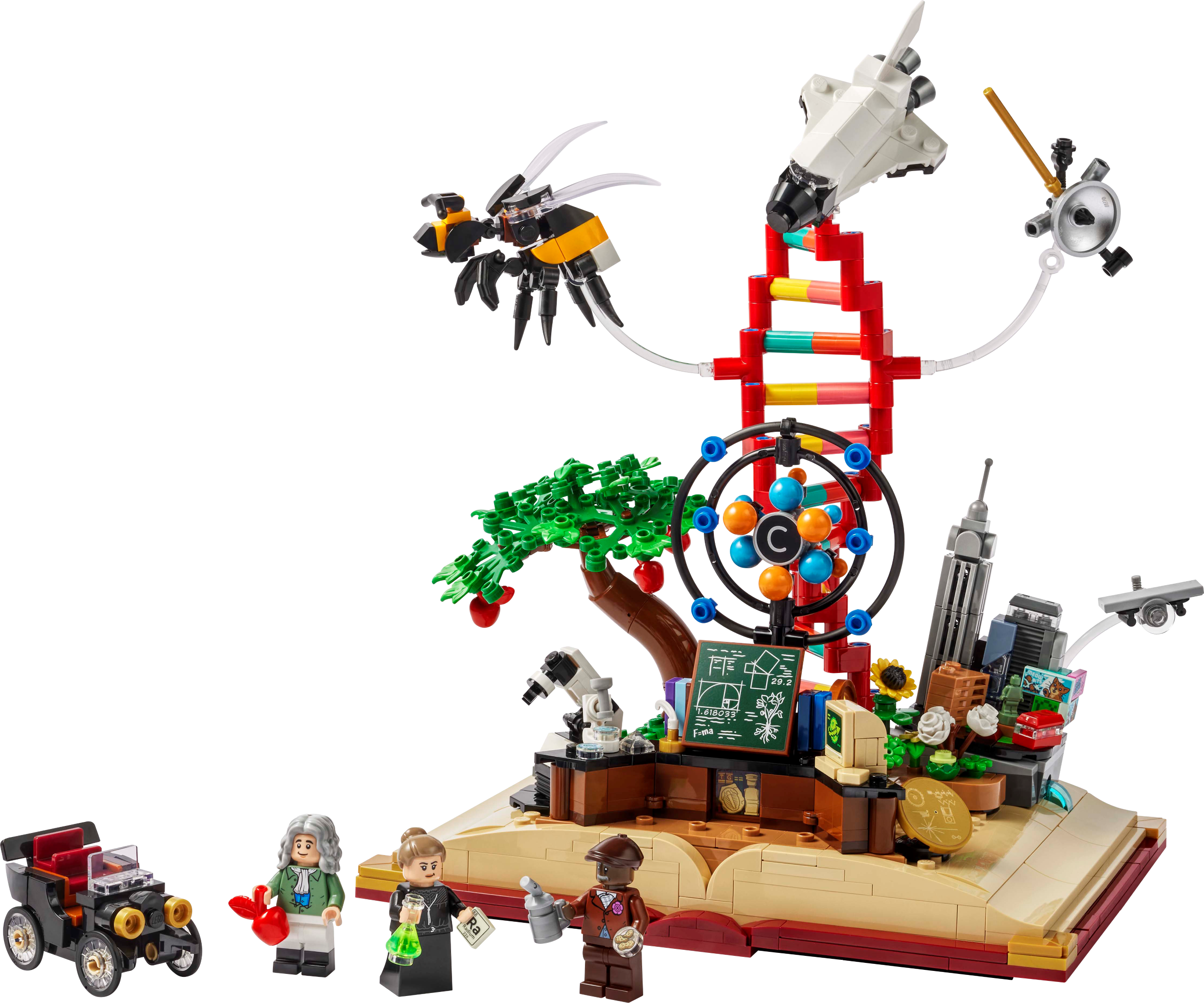L'évolution de la tige (The Evolution of STEM)