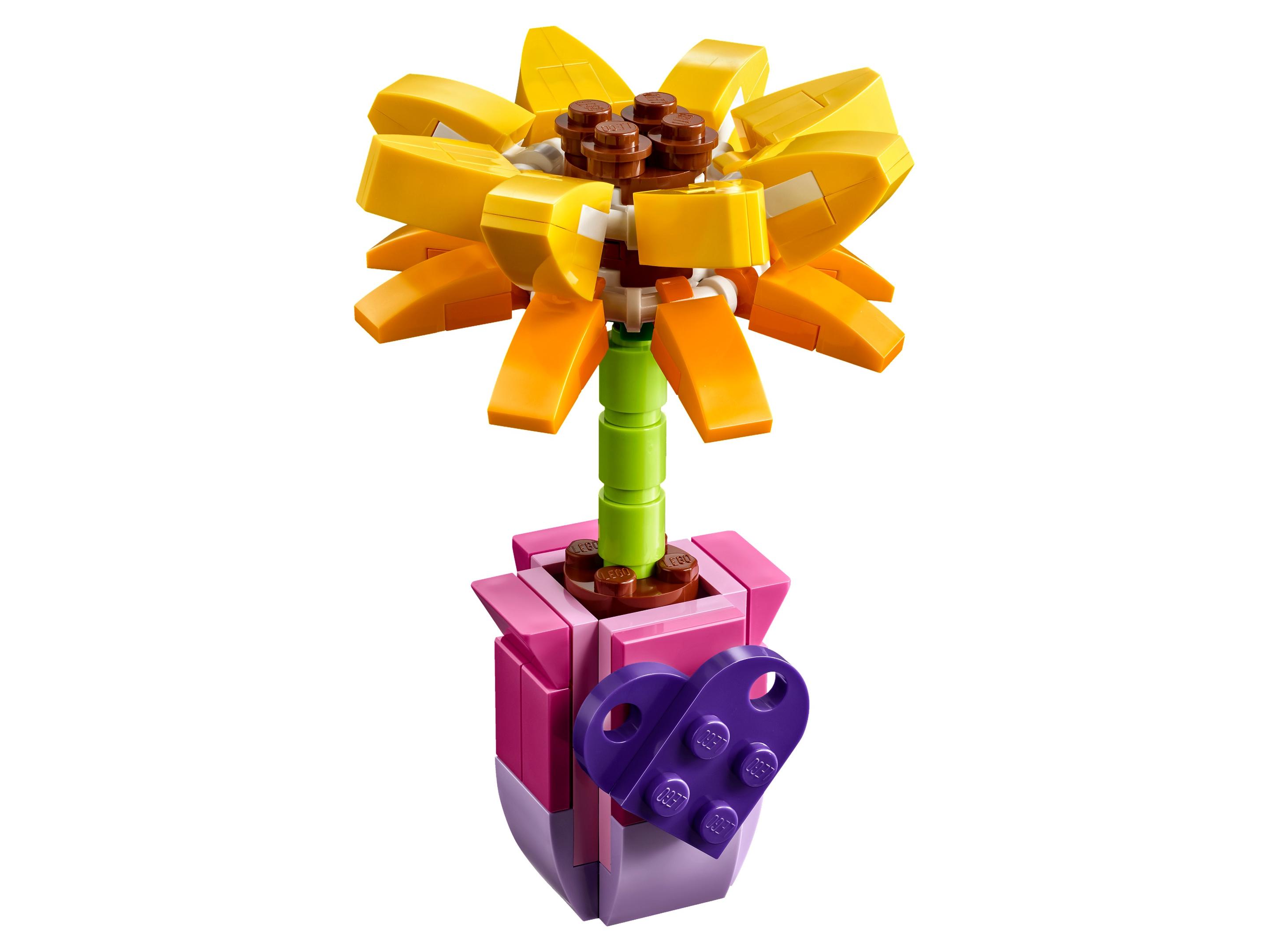 Fleur d'amitié (Friendship Flower)