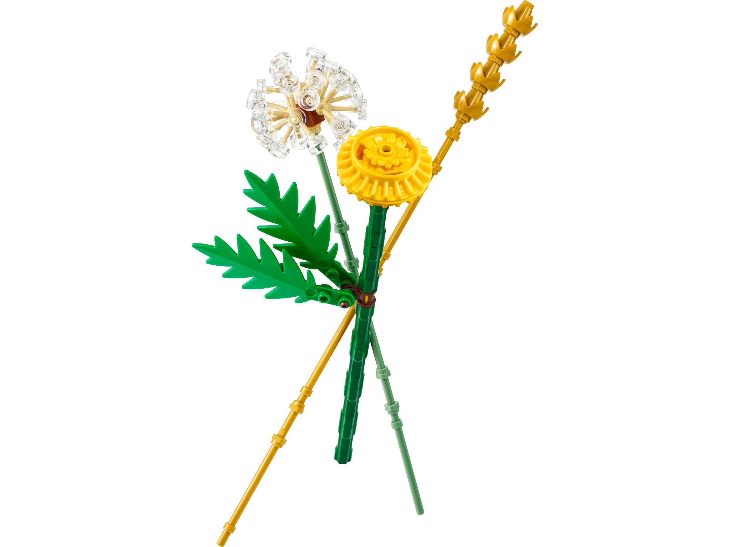 Champ de fleurs (Field Flowers)