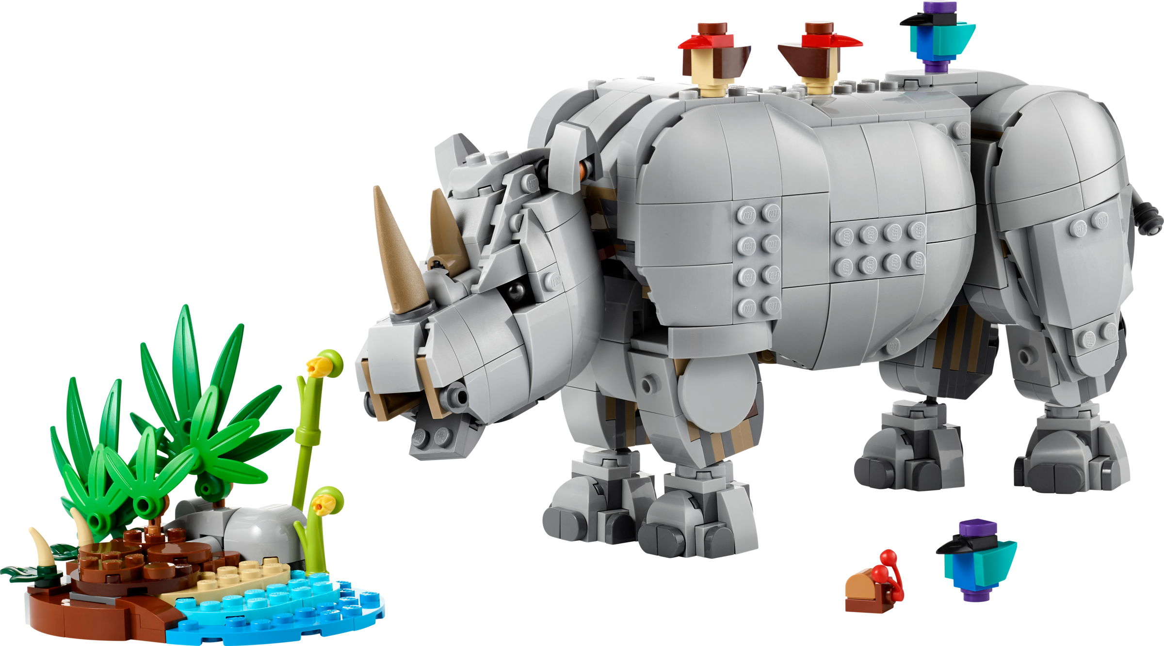 Wild Animals: Majestic Rhino with Birds