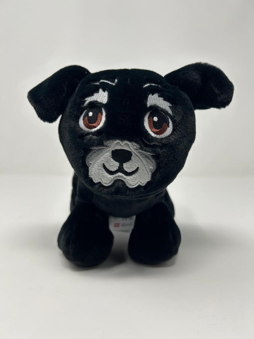 Friends Dash Dog Plush