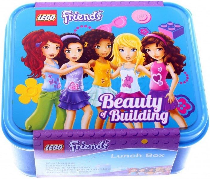 Friends Beauty of Building Lunch Box - Blue