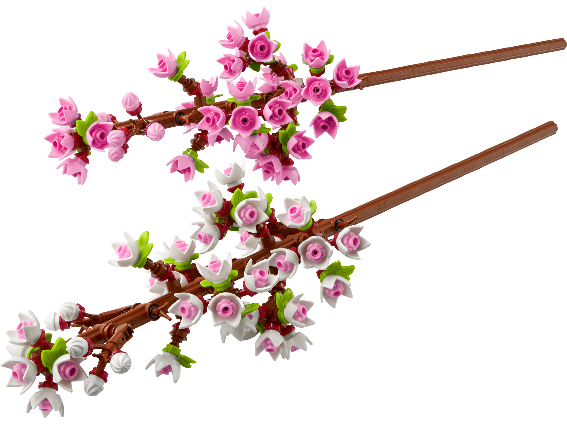 Fleurs de cerisier (Cherry Blossoms)