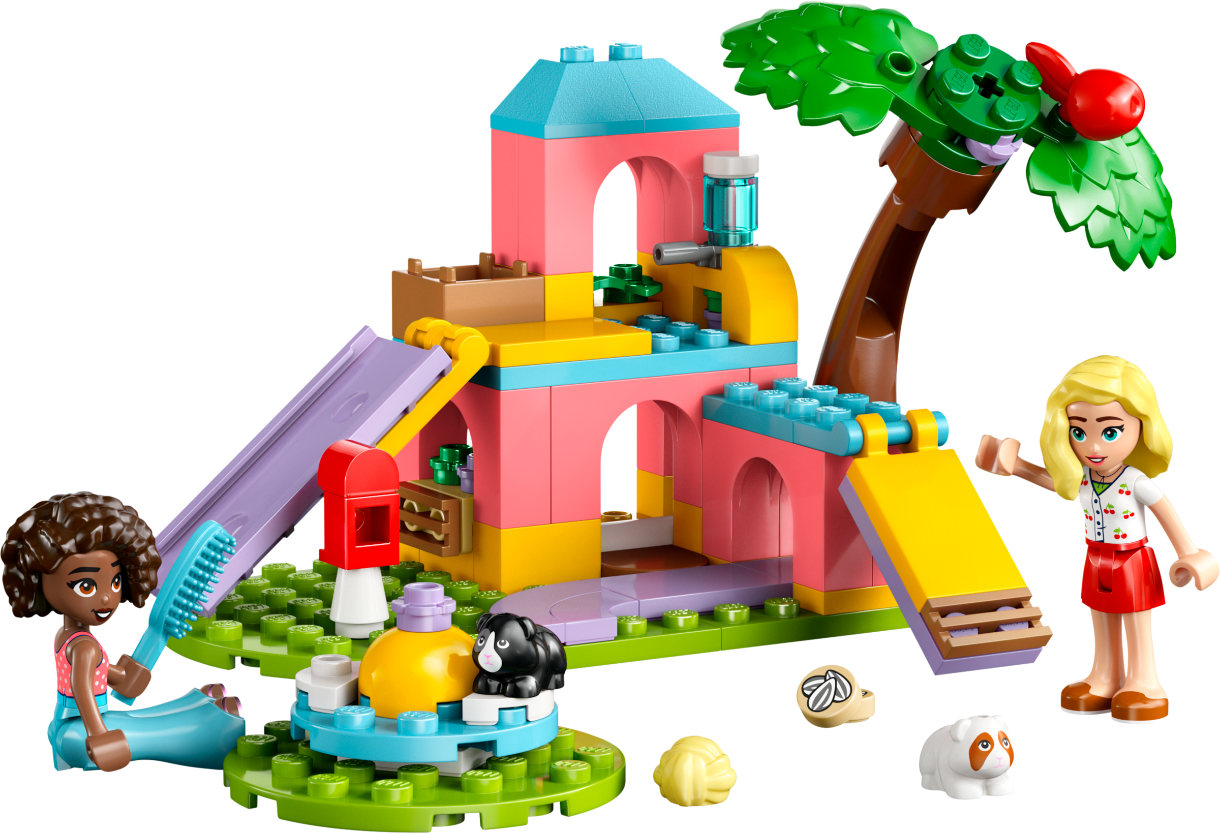 Guinea Pig Playground