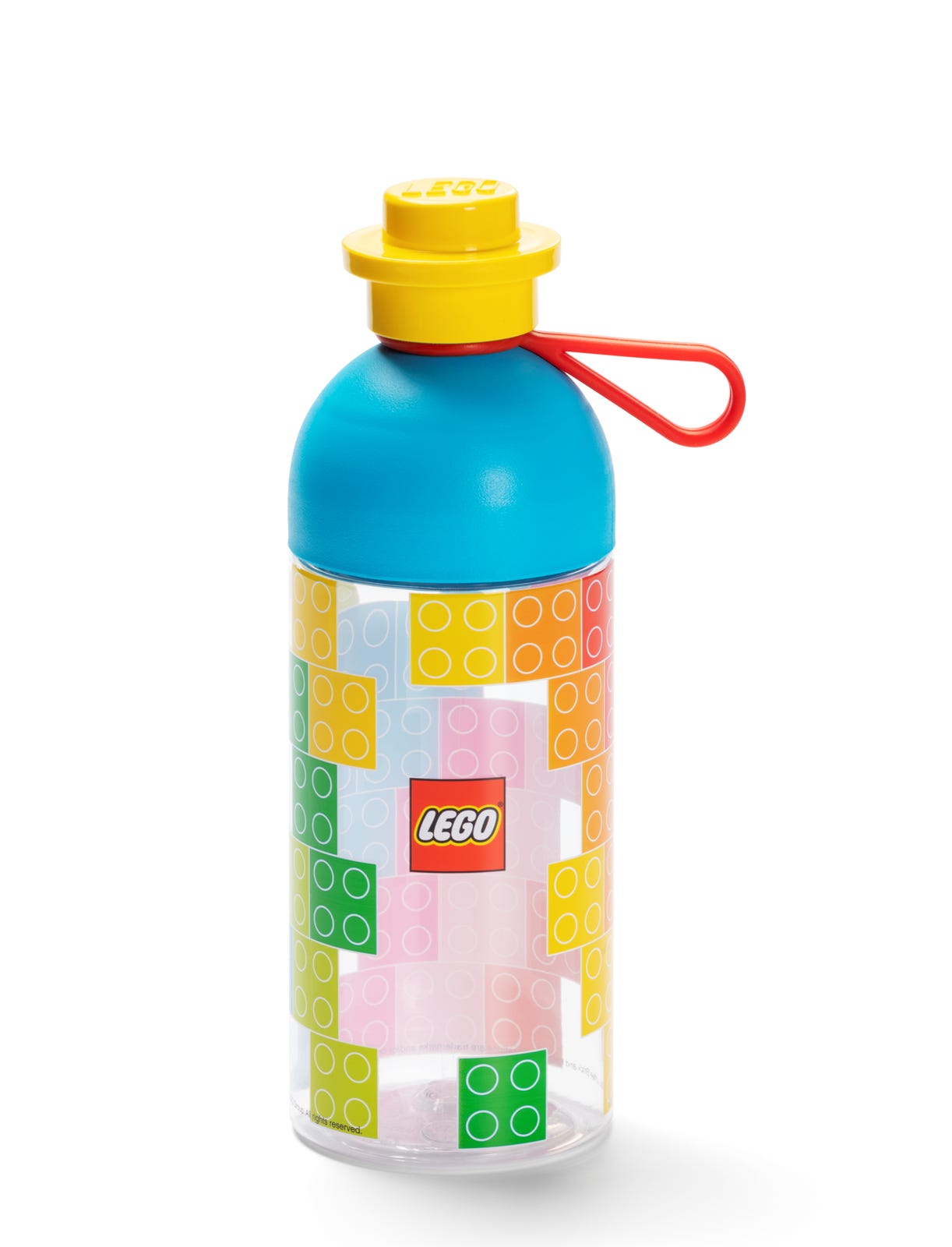 Hydration Bottle - Discovery