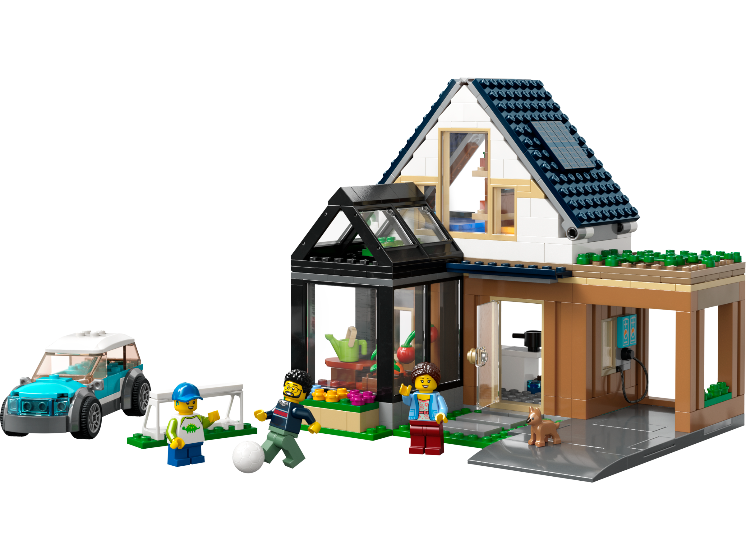 Family House and Electric Car