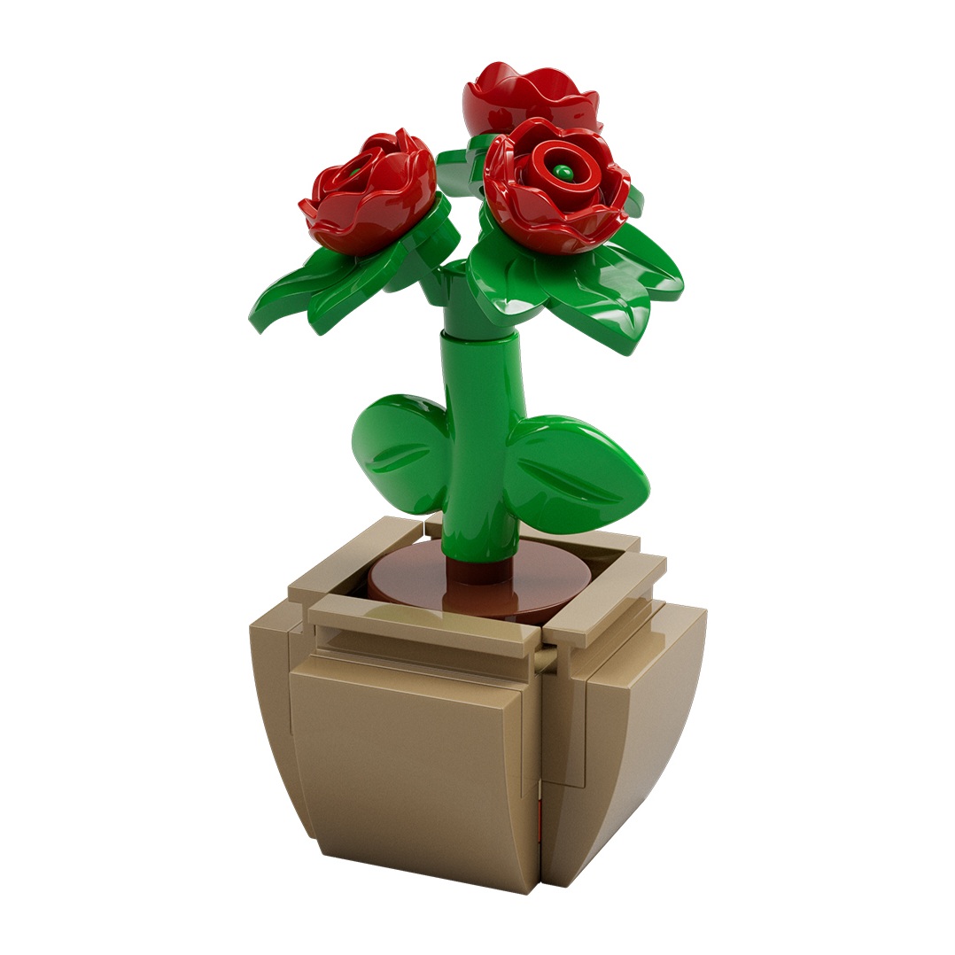 Potted Roses