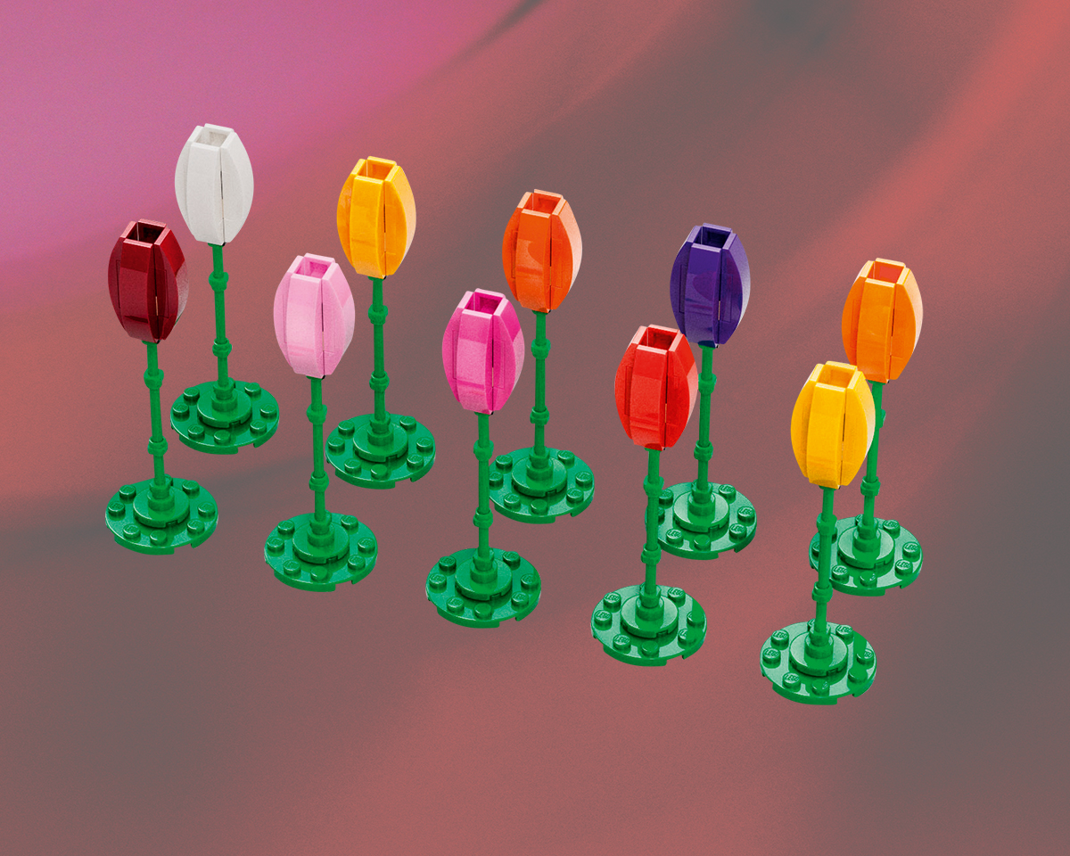 Tulips