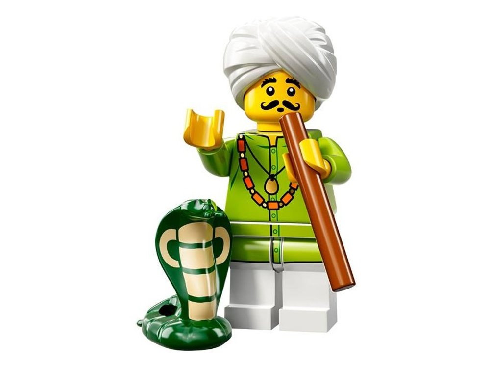 Serpent charmeur (Snake Charmer)