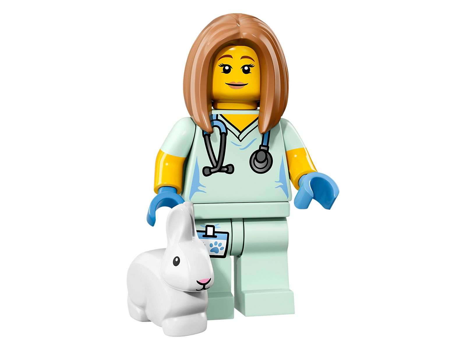 Vétérinaire (Veterinarian)