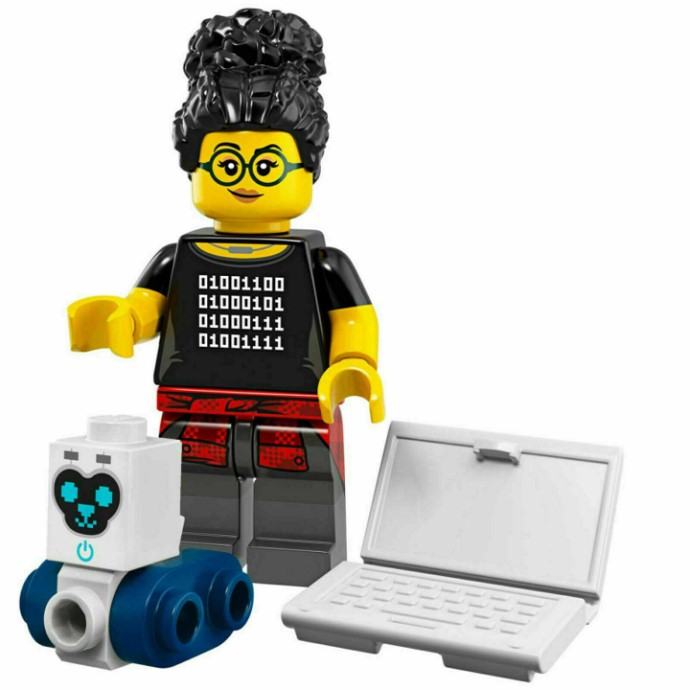 Programmeur (Programmer)