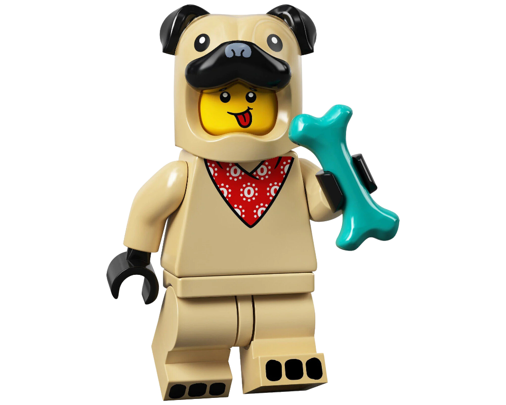 Homme déguisé en carlin (Pug Costume Guy)