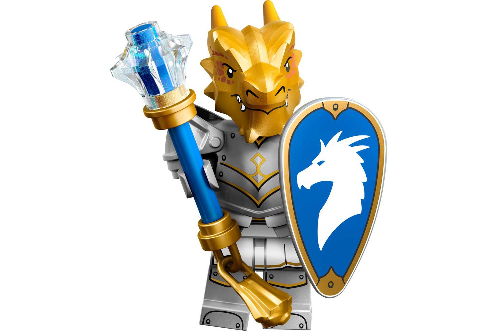 Paladin drakéide (Dragonborn Paladin)