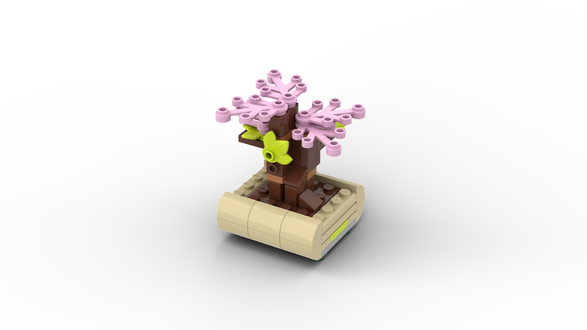 Lovely Bonsai Tree