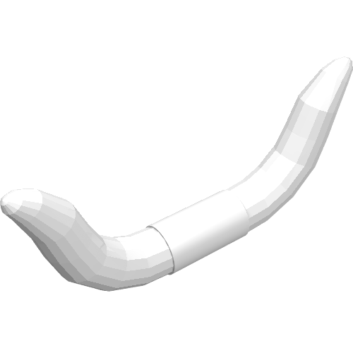 Partie du corps animal, Corne, Bovins (Animal Body Part, Horn, Cattle)
