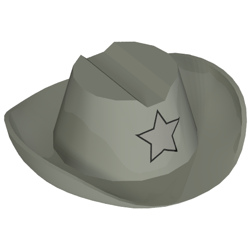 Chapeau cowboy avec motif imprimé étoile argent (Hat Cowboy with Silver Star Print)